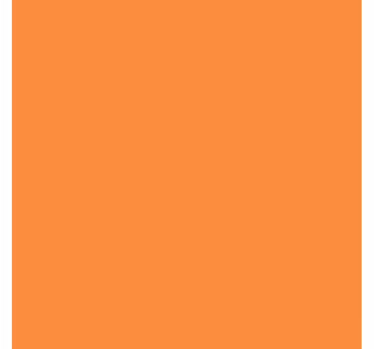 Toile fenêtre cuisine orange monocolore - TenStickers