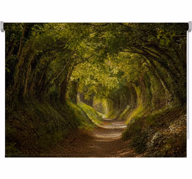 Toile fenêtre arbre chemin vert anglais - TenStickers