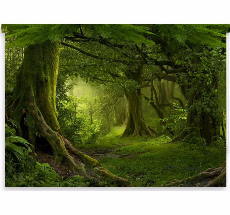 Toile fenêtre arbre Évasion dans la forêt luxuriante - TenStickers