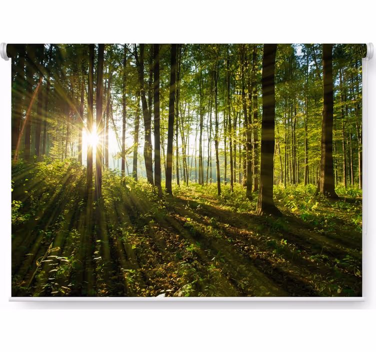 Toile fenêtre arbre forêts du soleil doré - TenStickers