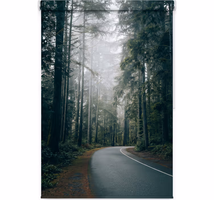 Toile fenêtre arbre route des pins brumeux - TenStickers