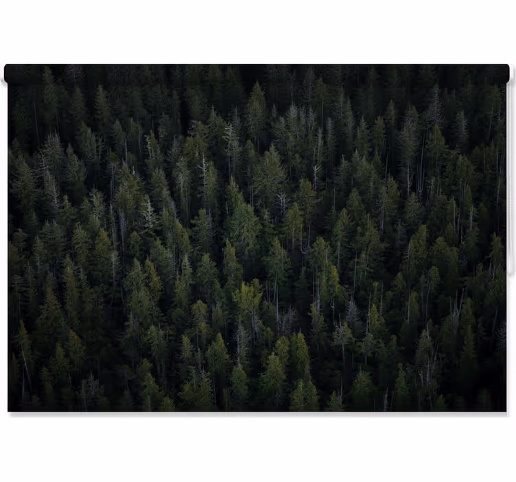 Toile fenêtre arbre texture bois profond - TenStickers