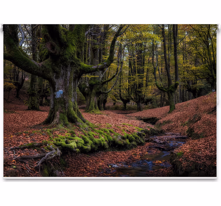 Toile fenêtre arbre forêt enchantée d'automne - TenStickers