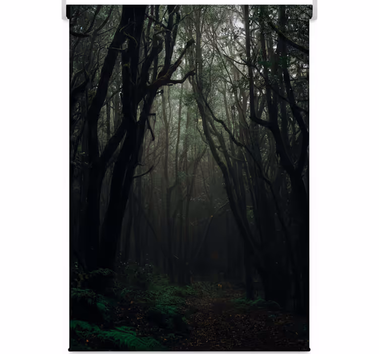 Toile fenêtre arbre forêt mystique sombre - TenStickers