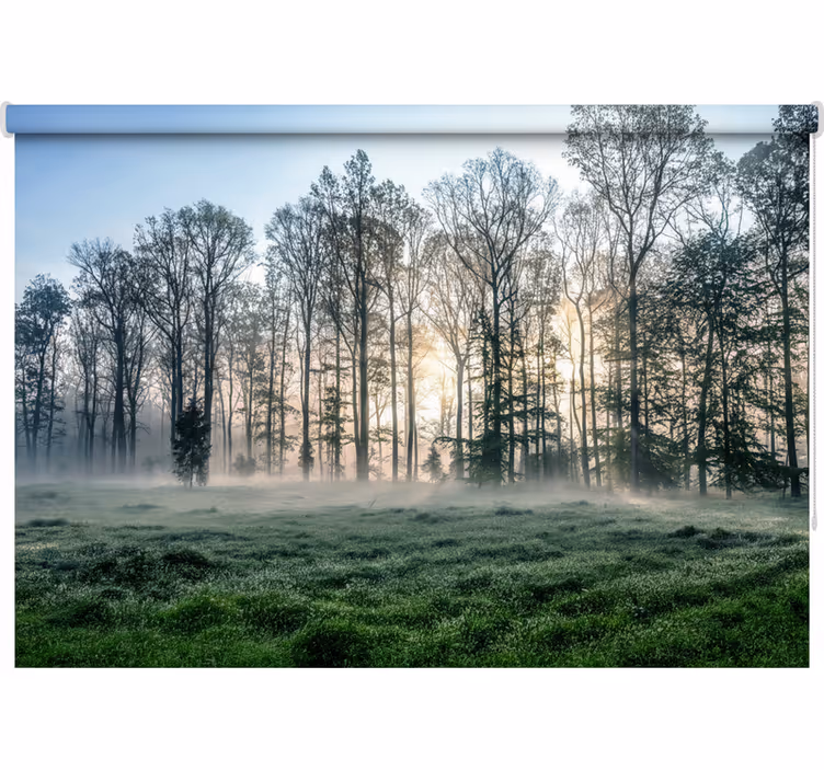 Toile fenêtre arbre prairie matinale brumeuse - TenStickers