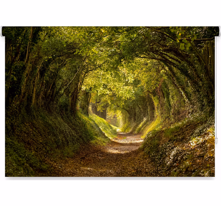 Toile fenêtre arbre murale forêt immersive - TenStickers