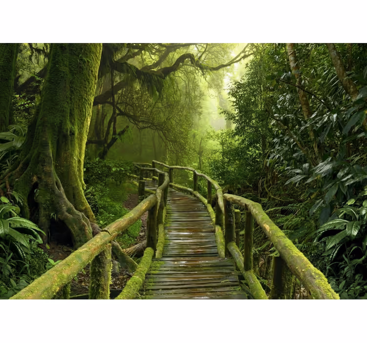 Toile fenêtre arbre chemin verdoyant luxuriant - TenStickers