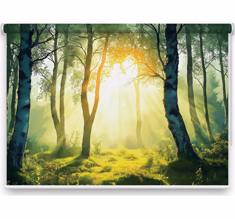 Toile fenêtre arbre fresque bouleau ensoleillé - TenStickers