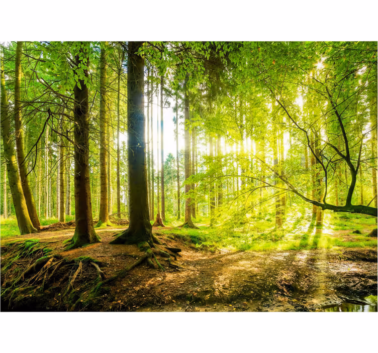 Toile fenêtre arbre vallée de montagne luxuriante - TenStickers