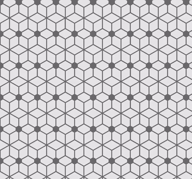 Toile fenêtre salle de bain motif carreaux hexagonaux - TenStickers