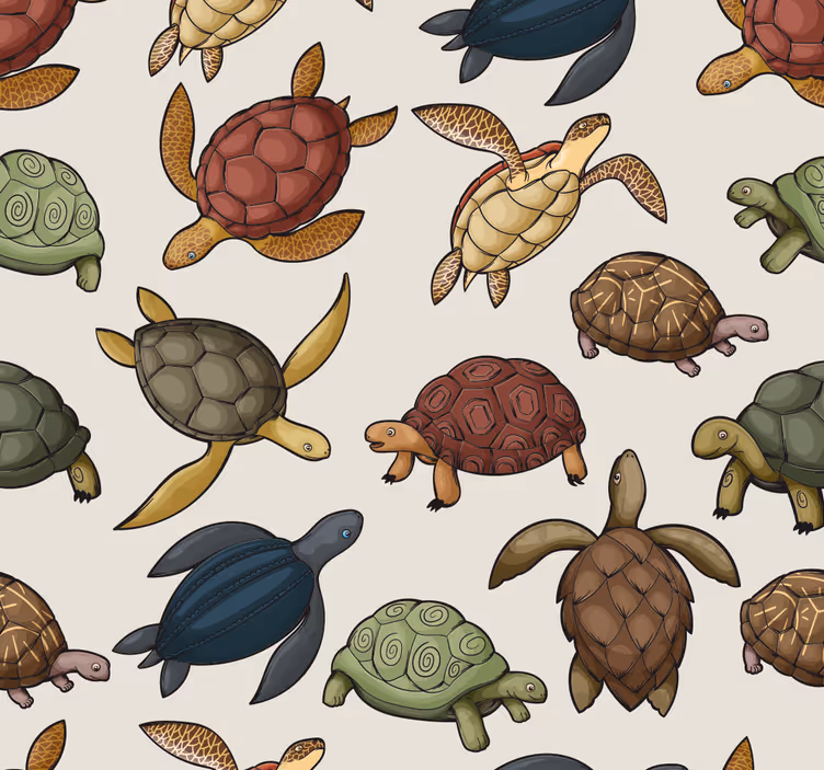 Toile fenêtre chambre enfant variété de tortues - TenStickers