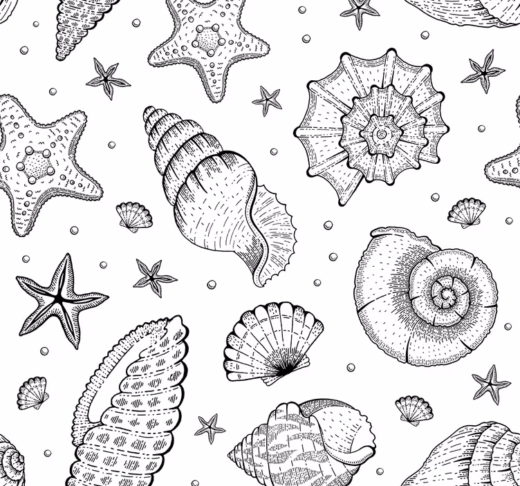 Toile fenêtre bureaux vie marine et coquillages noir blanc - TenStickers