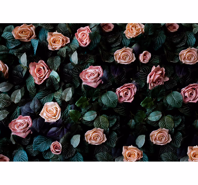 Toile fenêtre cuisine roses corail roses - TenStickers