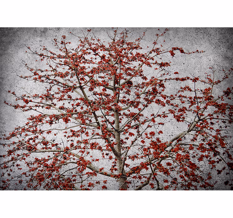 Toile fenêtre cuisine arbre minimaliste fleurs rouges - TenStickers