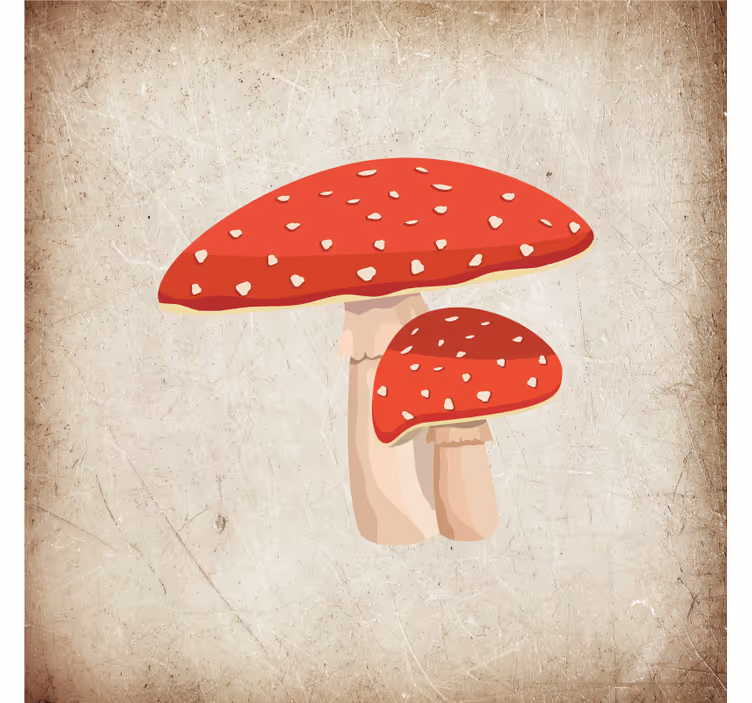 Toile fenêtre cuisine illustration de champignon amanite - TenStickers