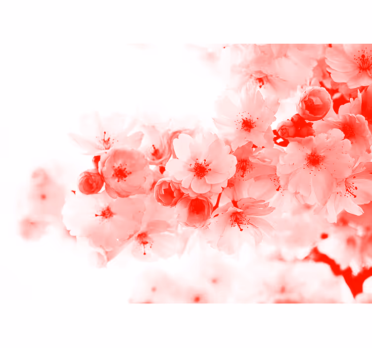 Toile blanche fenêtre - papier peint buisson rouge - TenStickers