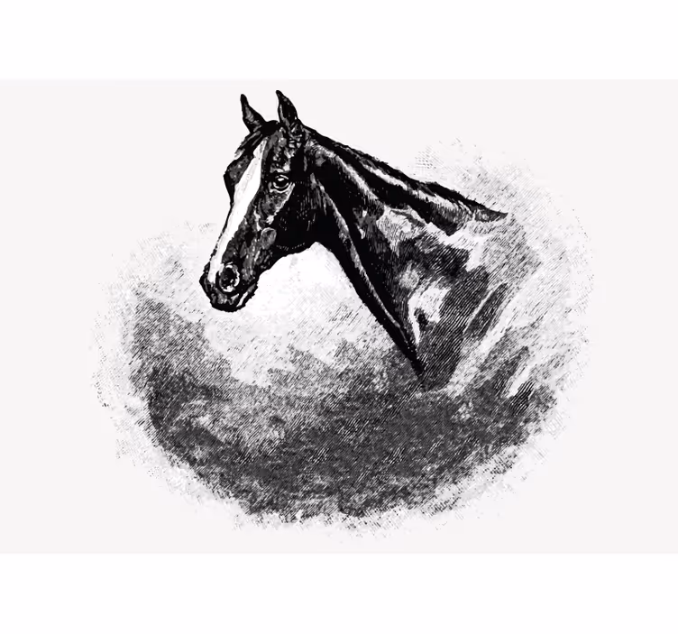 Toile blanche fenêtre chevaux en graphite - TenStickers