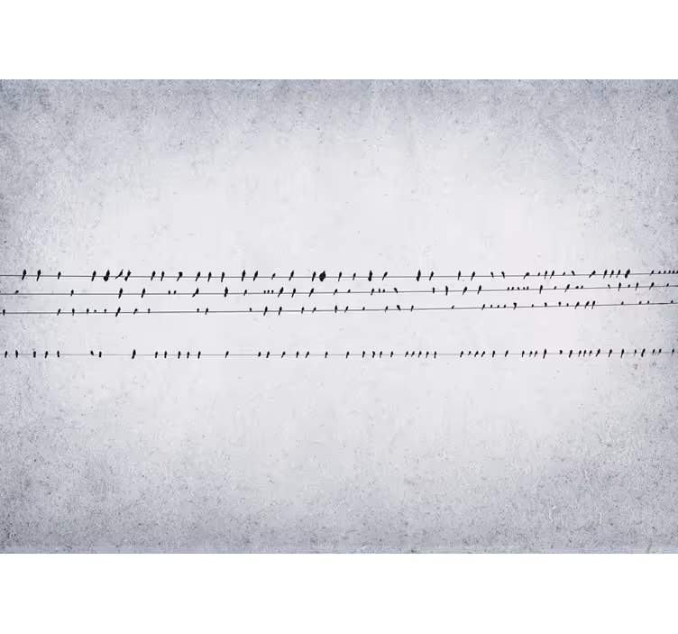 Toile blanche fenêtre concert d'oiseaux sur fils - TenStickers