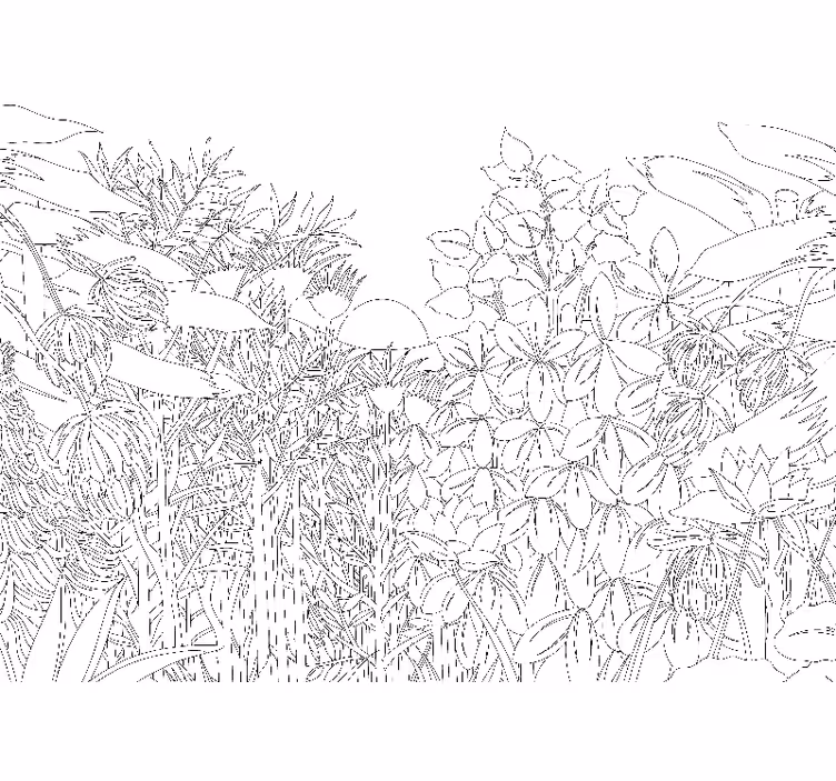 Toile blanche fenêtre croquis de jungle tropicale - TenStickers