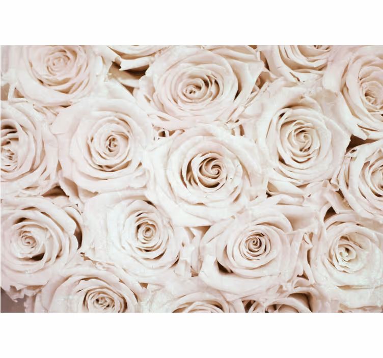 Toile blanche fenêtre design élégant de fleurs roses - TenStickers