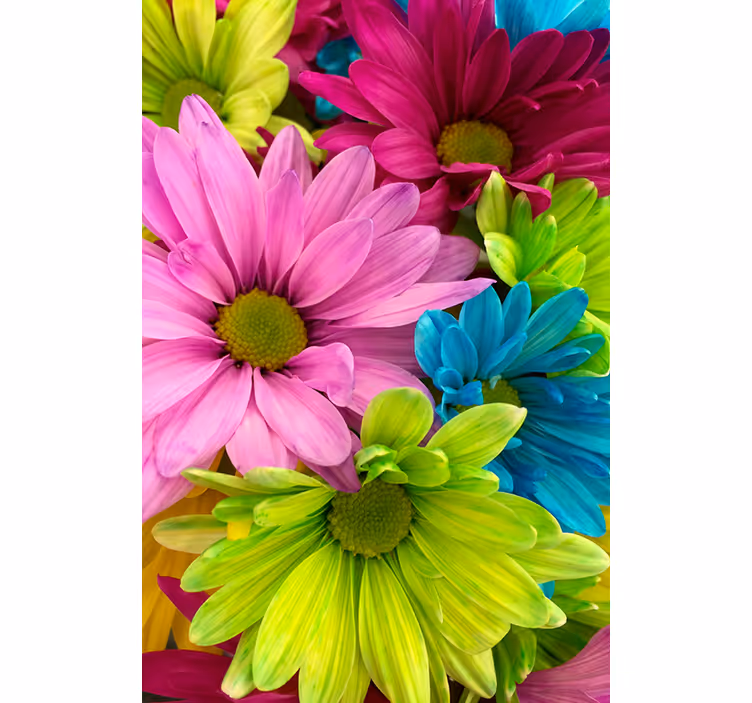 Toile fenêtre salon fleurs colorées - TenStickers
