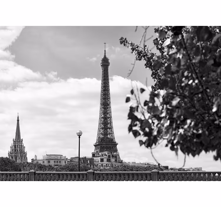 Toile fenêtre salon tour eiffel noir et blanc - TenStickers