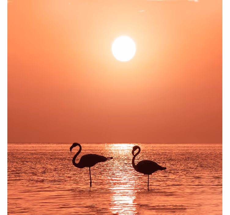 Toile fenêtre salon flamant rose au coucher de soleil - TenStickers