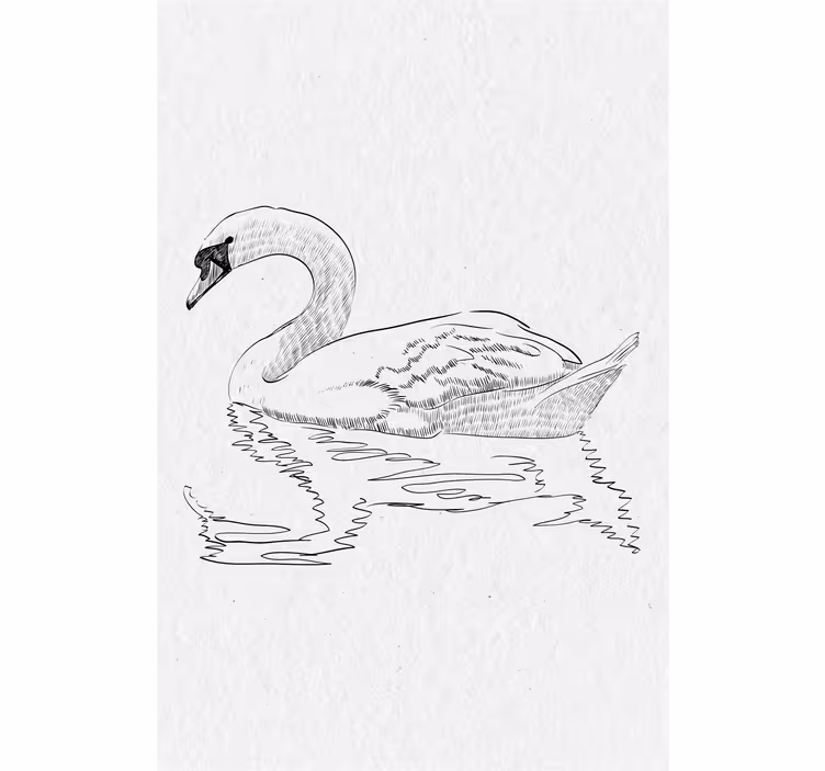 Toile fenêtre salon esquisse de cygne - TenStickers