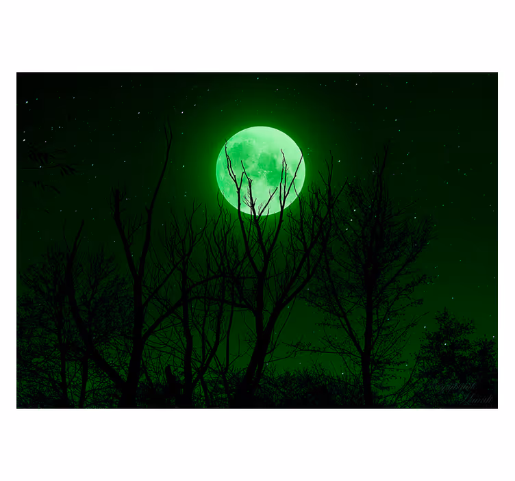 Toile noire fenêtre lune verte - TenStickers