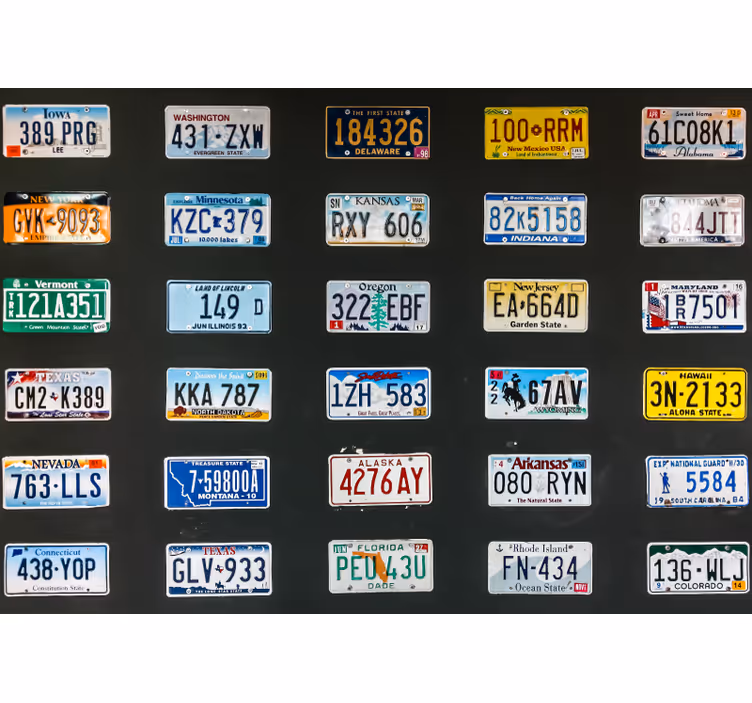 Toile noire fenêtre plaques d'immatriculation - TenStickers