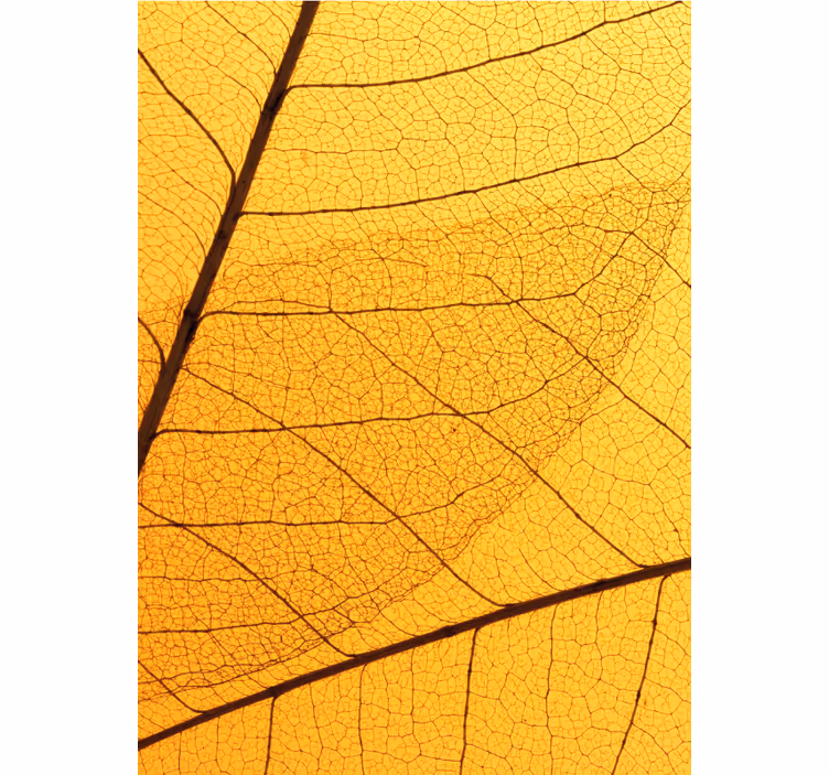Toile fenêtre jaune motif feuilles botaniques - TenStickers