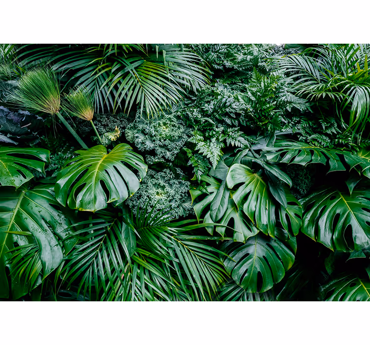 Toile fenêtre vert jungle pluvieuse - TenStickers