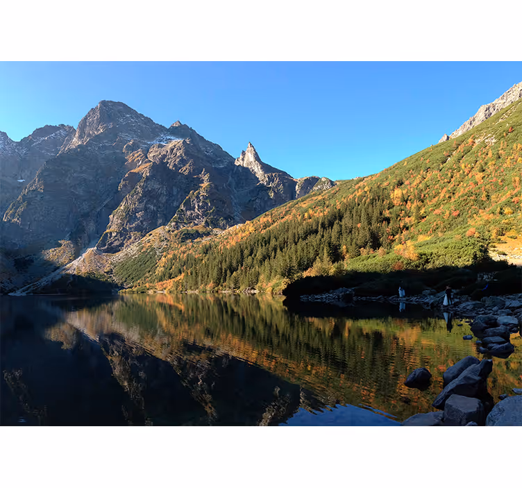 Toile fenêtre vert morskie oko au printemps - TenStickers