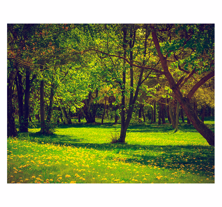 Toile fenêtre salon vue sereine sur la forêt - TenStickers