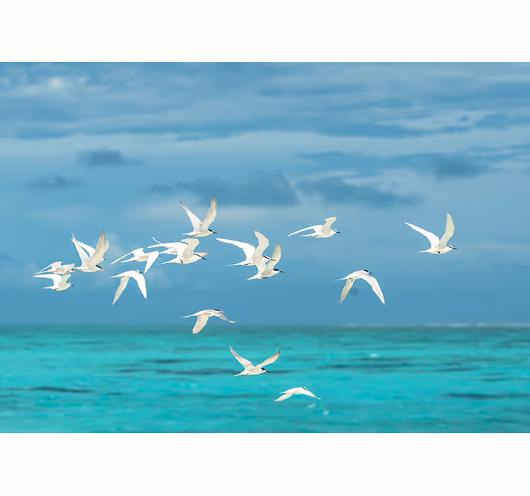 Toile fenêtre salon oiseaux en vol - TenStickers