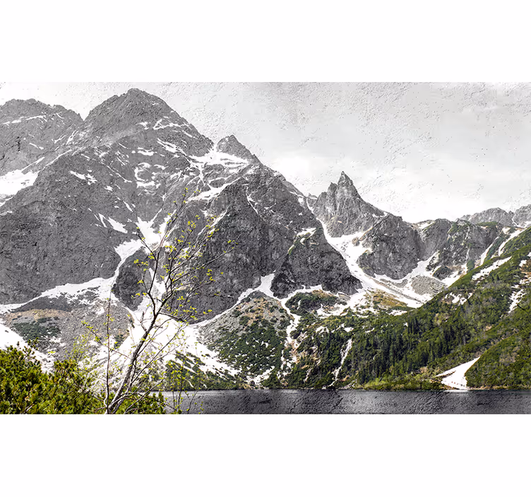Toile fenêtre salon montagnes polonaises zakopane - TenStickers