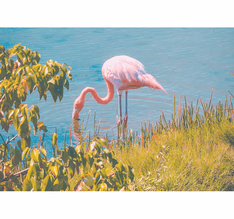 Toile fenêtre salon flamant rose près de l'eau - TenStickers