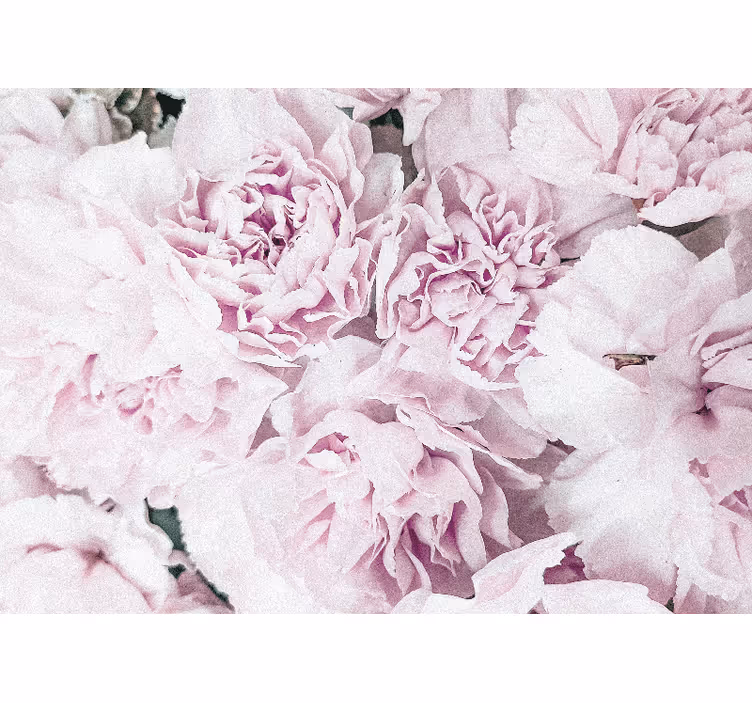 Toile fenêtre salon design de fleurs pivoines roses - TenStickers