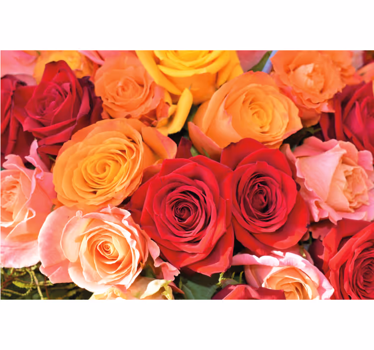 Toile fenêtre salon roses fleurs différentes - TenStickers