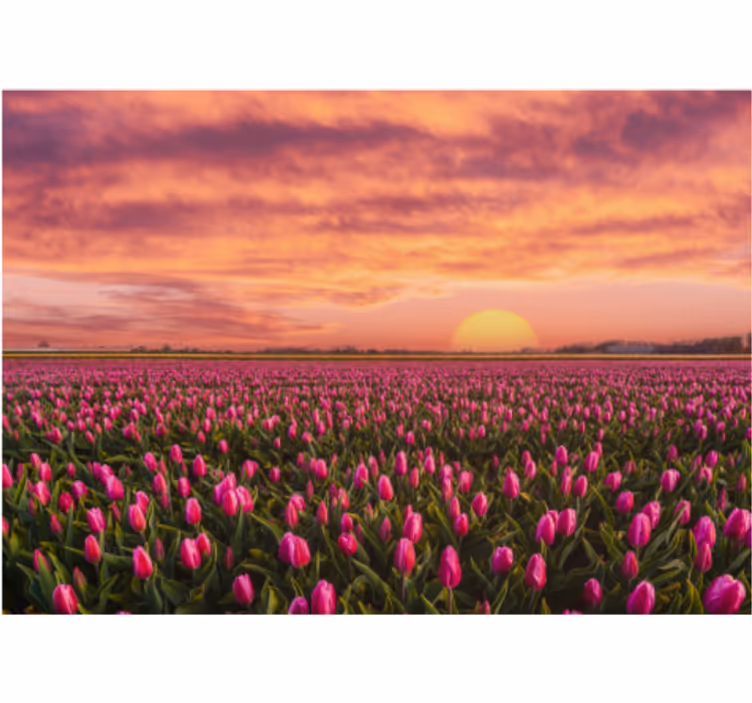 Toile fenêtre salon lever de soleil et tulipes - TenStickers