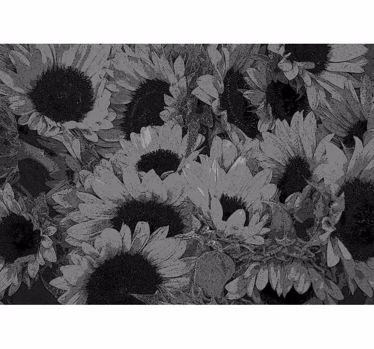 Toile fenêtre salon tournesol noir et blanc - TenStickers