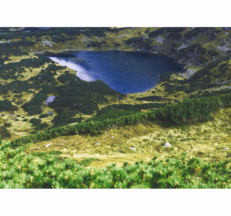 Toile fenêtre salon tatras verts polonais - TenStickers