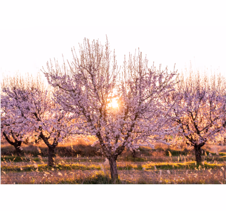 Toile fenêtre salon paysage rose avec fleurs - TenStickers