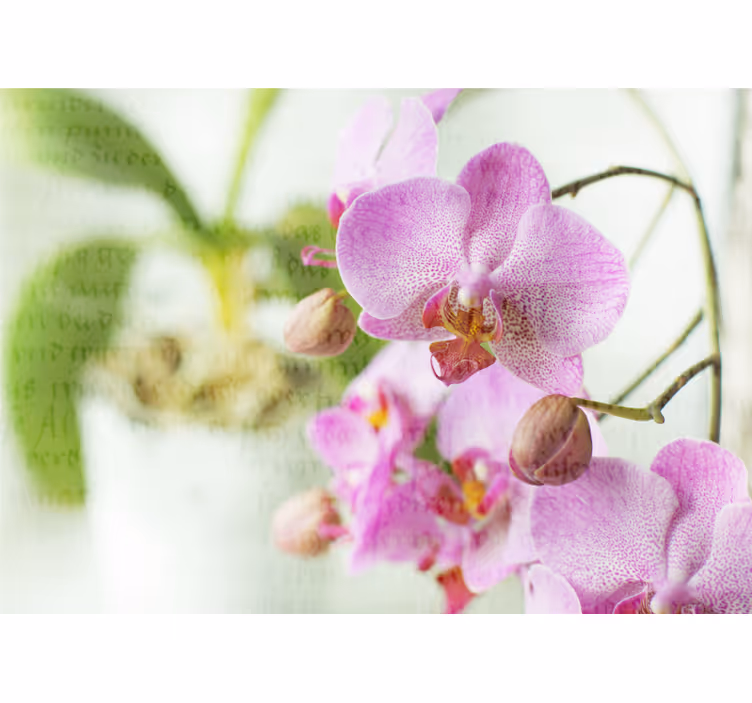 Toile fenêtre salon orchidée avec texte - TenStickers
