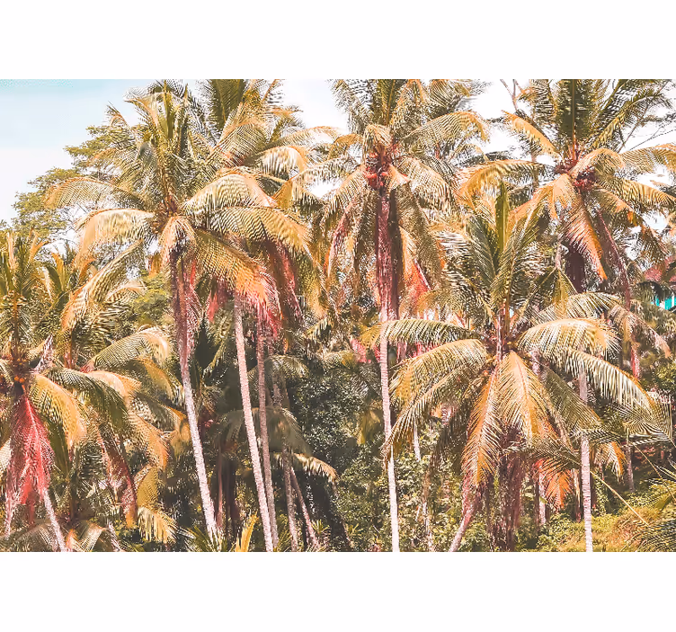 Toile fenêtre salon palmier vert dans la jungle - TenStickers