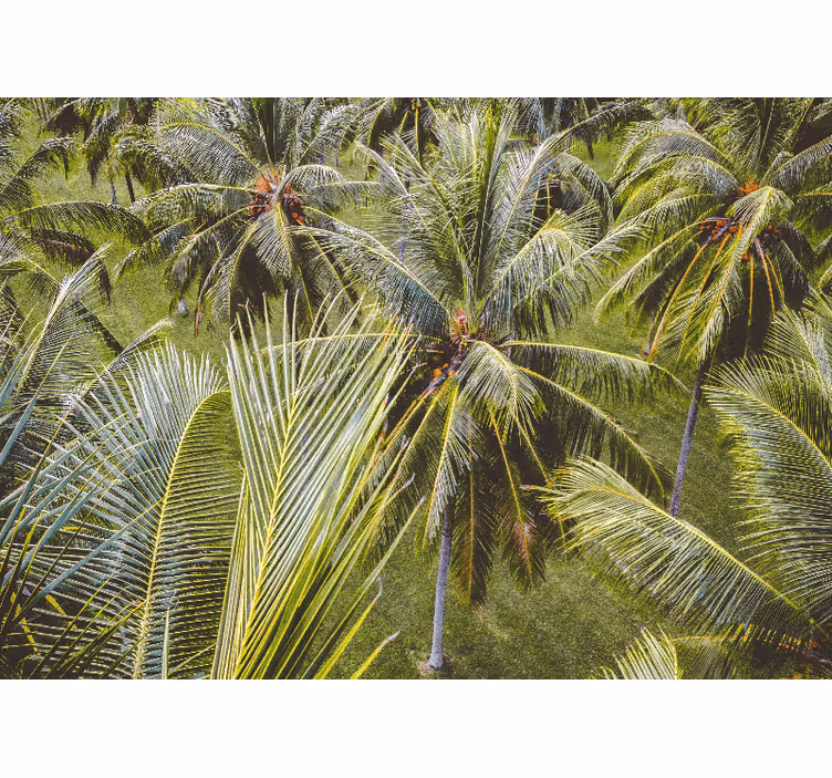 Toile fenêtre salon paysage de forêt de palmiers - TenStickers