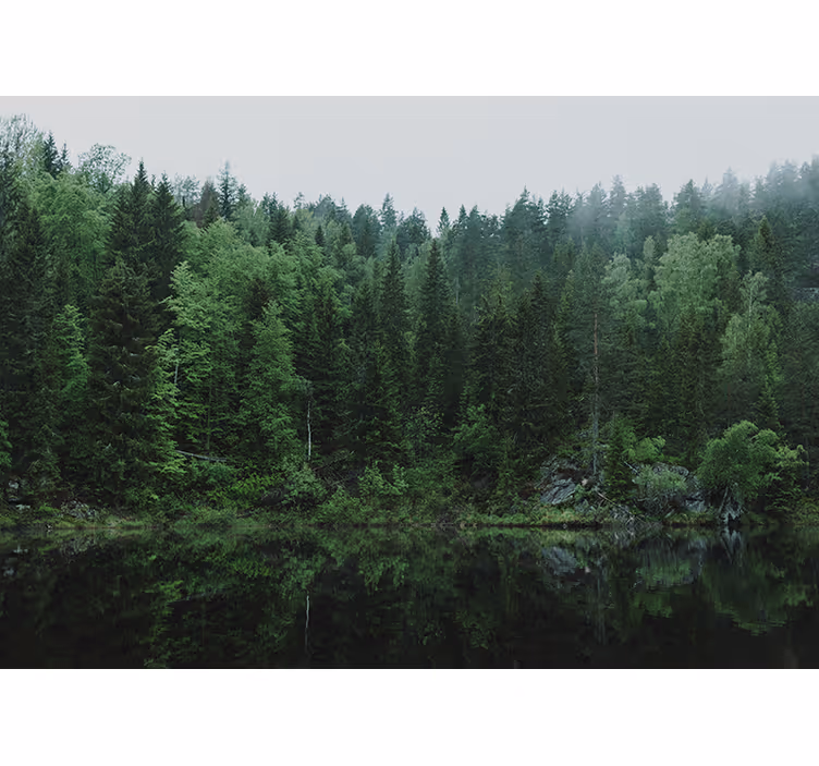 Toile fenêtre salon forêt au bord du lac - TenStickers