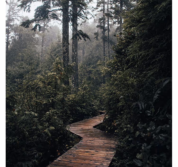 Toile fenêtre salon chemin naturel en forêt - TenStickers