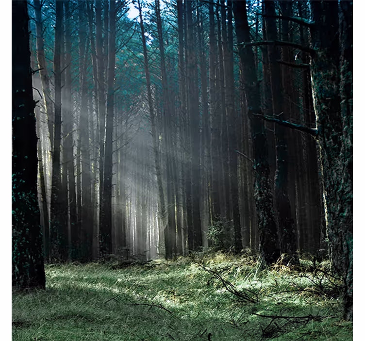 Toile fenêtre salon forêt brumeuse bleue nature - TenStickers