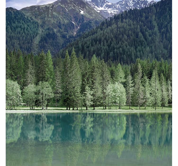 Toile fenêtre salon lac verdoyant "nature" - TenStickers